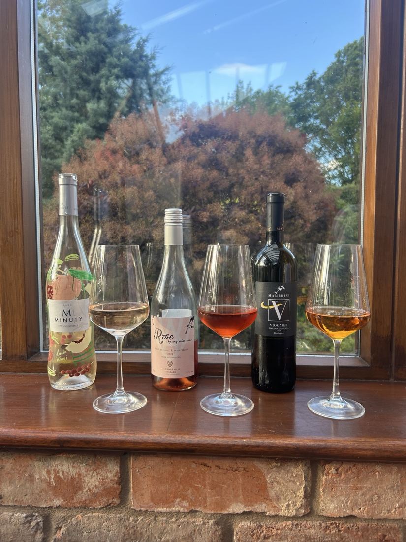 Three wines and glasses in the conservatory