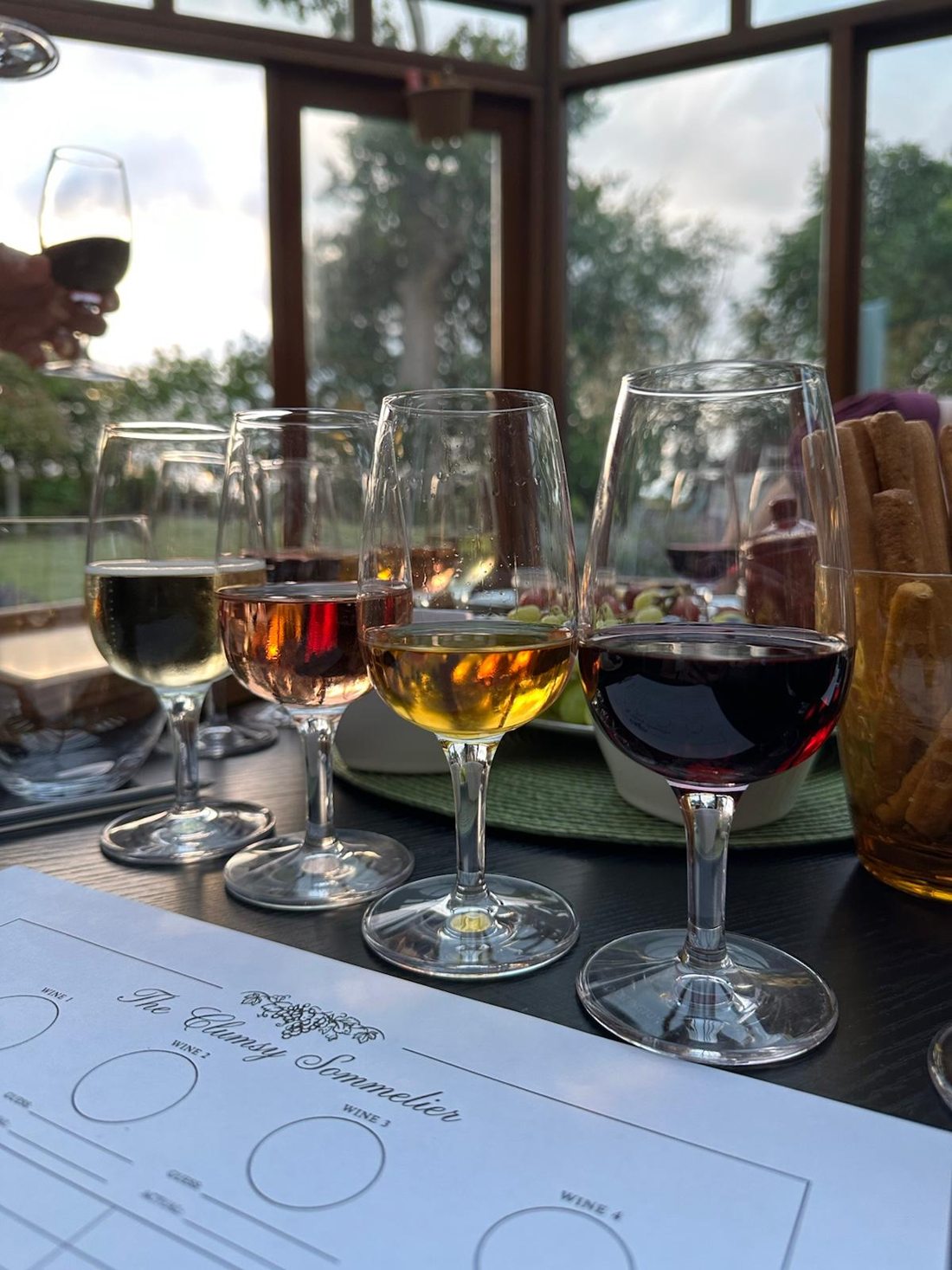 Wine tasting glasses and tasting notes